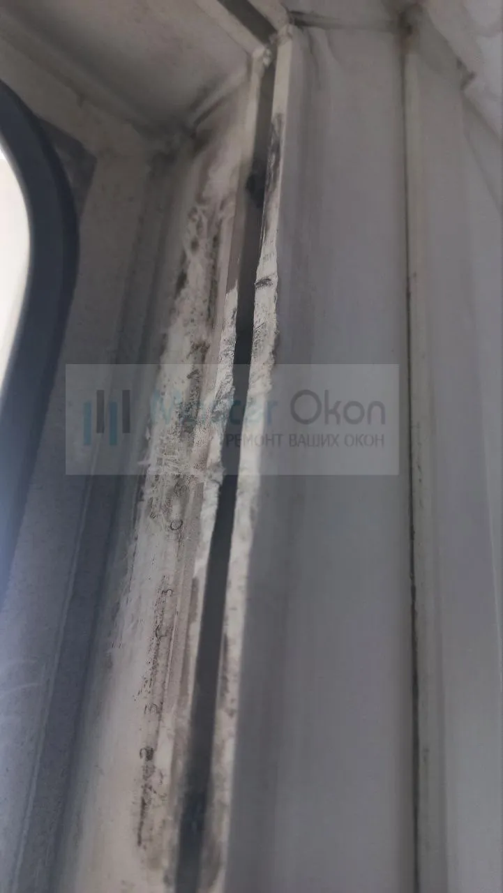 master-okon.by